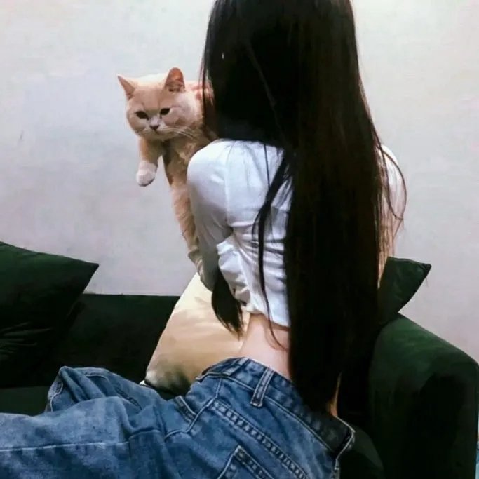 认识狗狗 在线观看